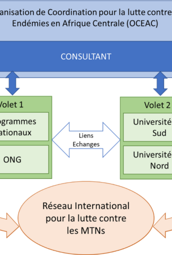 Formation en gestion des projets